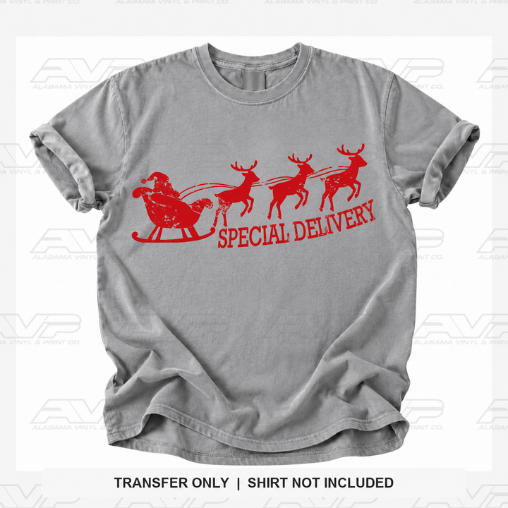 Santa Special Delivery Alabama Vinyl
