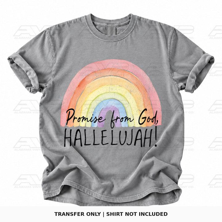 Promise From God, Hallelujah Alabama Vinyl