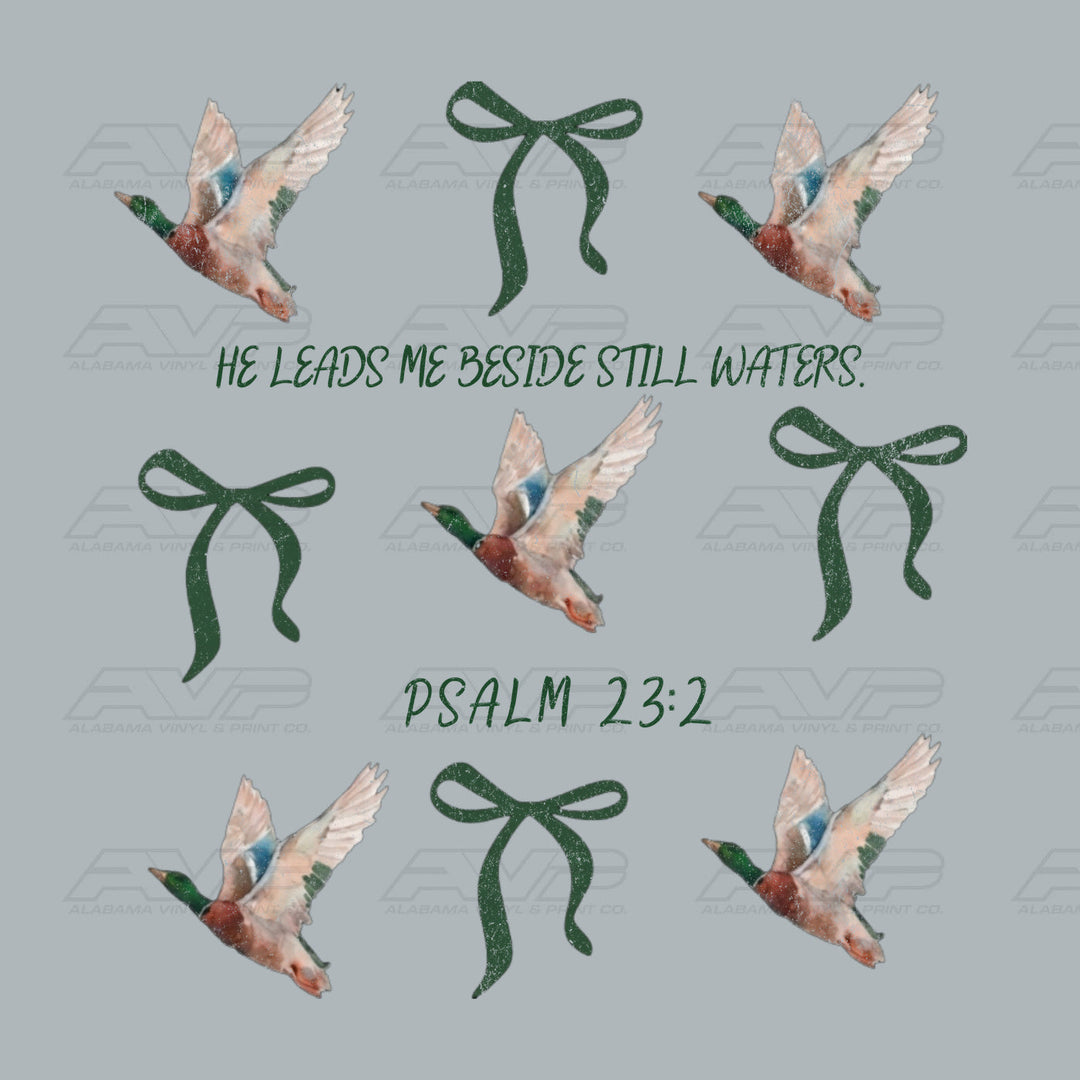 He Leads Me Beside Still Waters Psalm 23:2 Alabama Vinyl