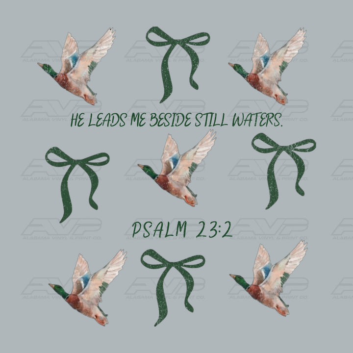 He Leads Me Beside Still Waters Psalm 23:2 Alabama Vinyl