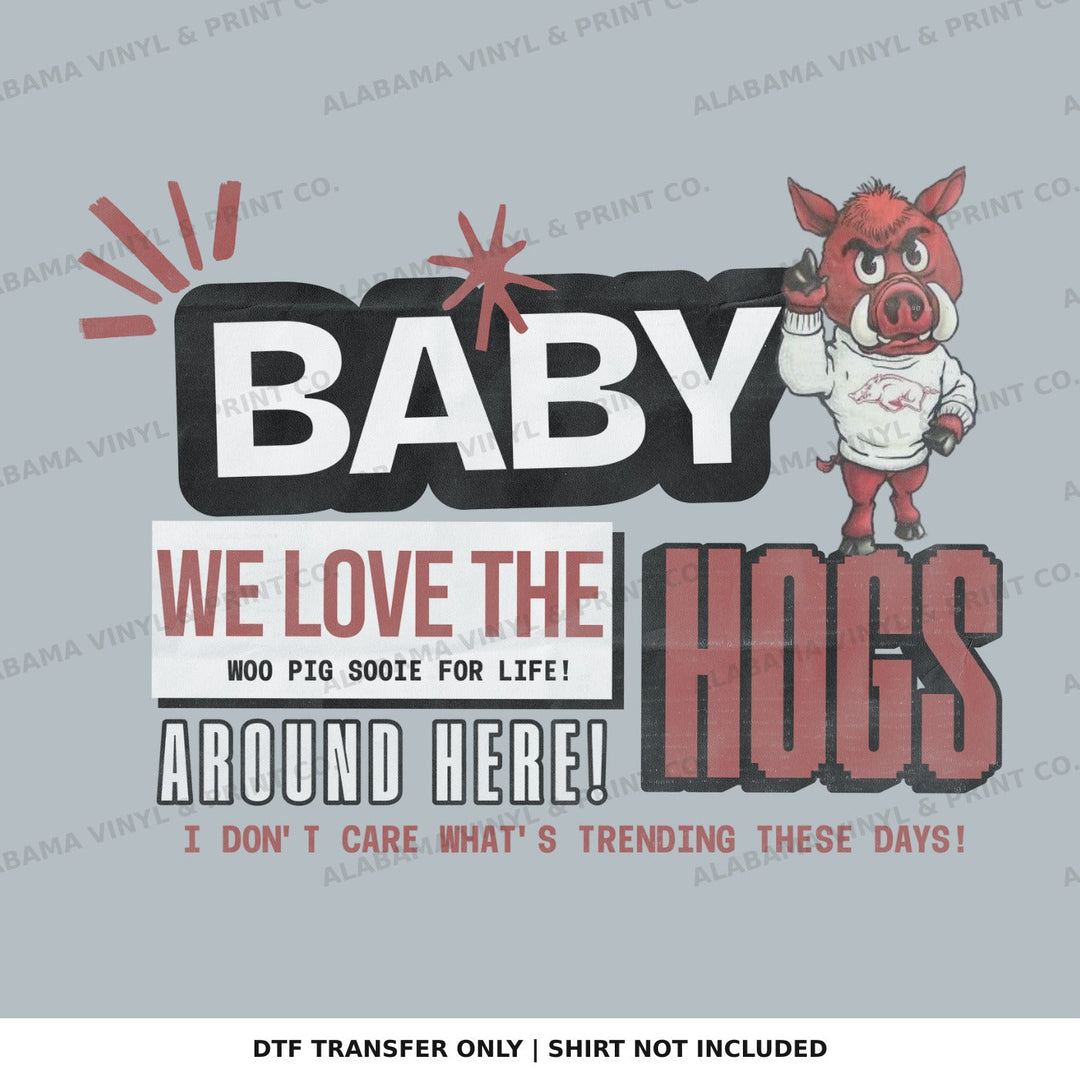 Arkansas AR We Love the Hogs Alabama Vinyl