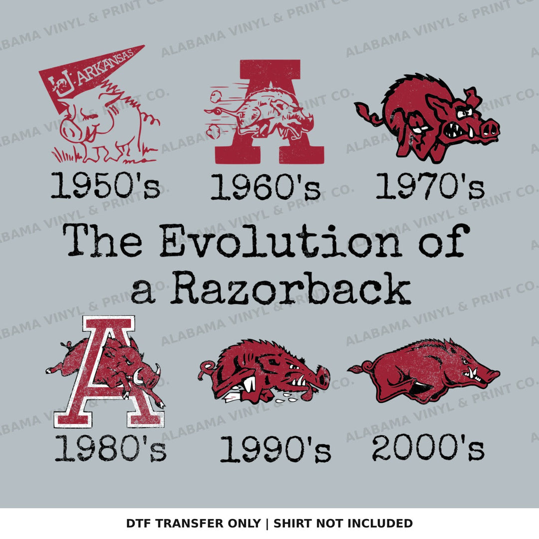 Arkansas Evolution of a Razorback Alabama Vinyl