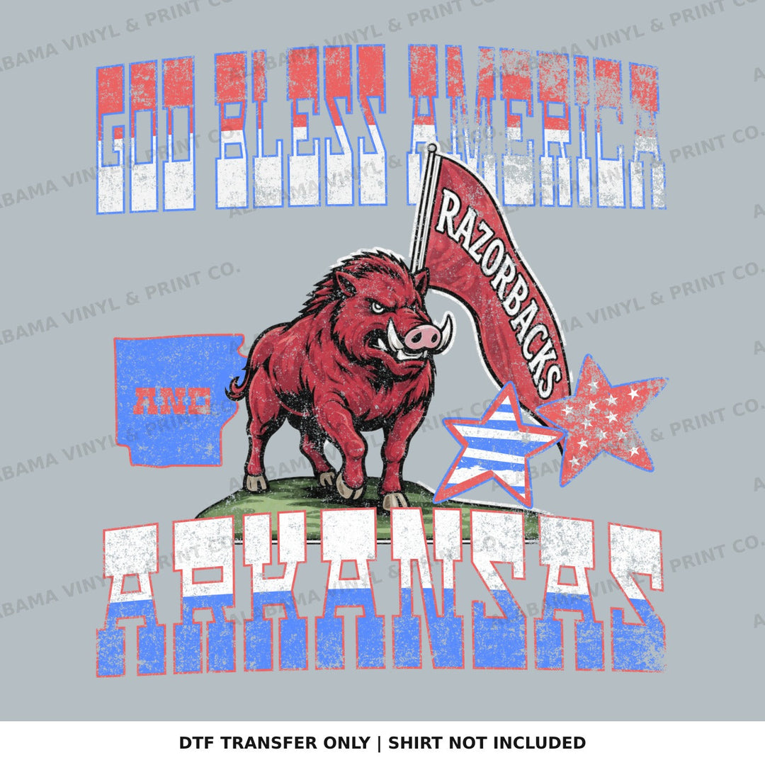 Arkansas God Bless Arkansas Alabama Vinyl