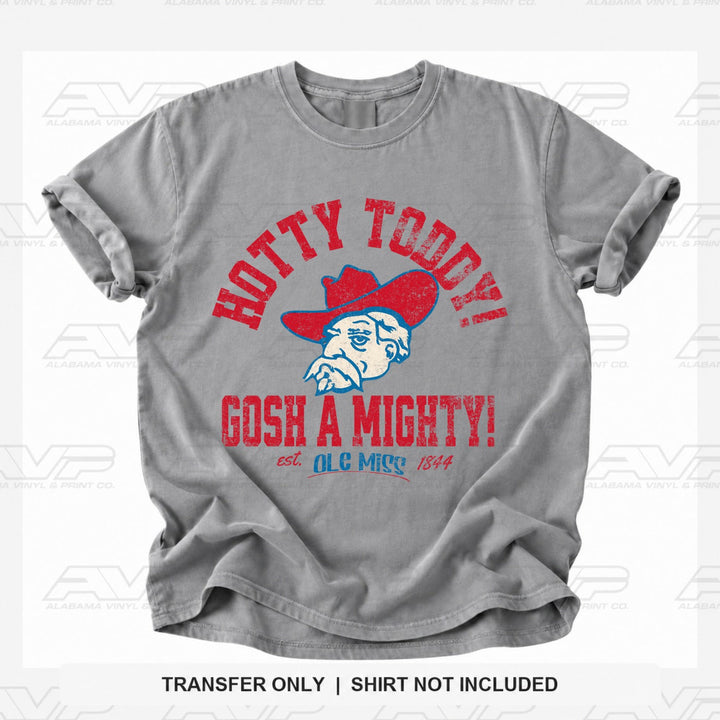 Ole Miss Hotty Toddy Gosh A Mighty Vintage Vibes Alabama Vinyl
