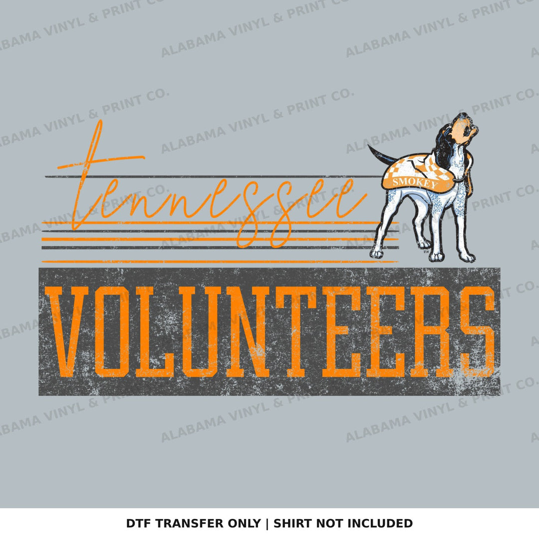 Tennessee Retro Vibes Alabama Vinyl