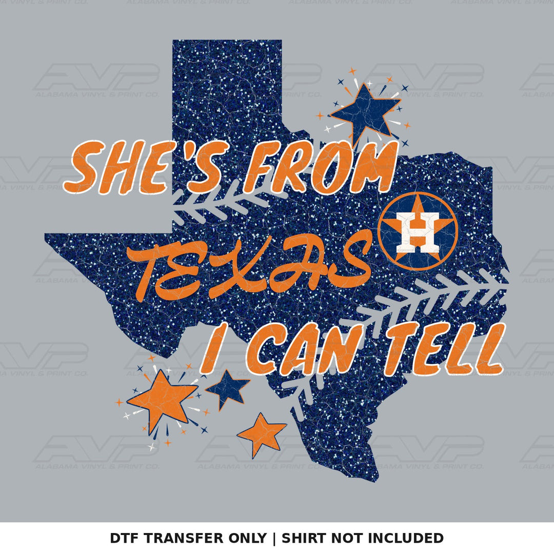 Houston Astros She's From Texas Alabama Vinyl