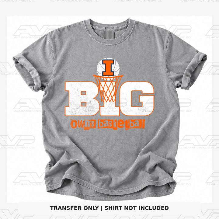 Illinois Big 10 Alabama Vinyl