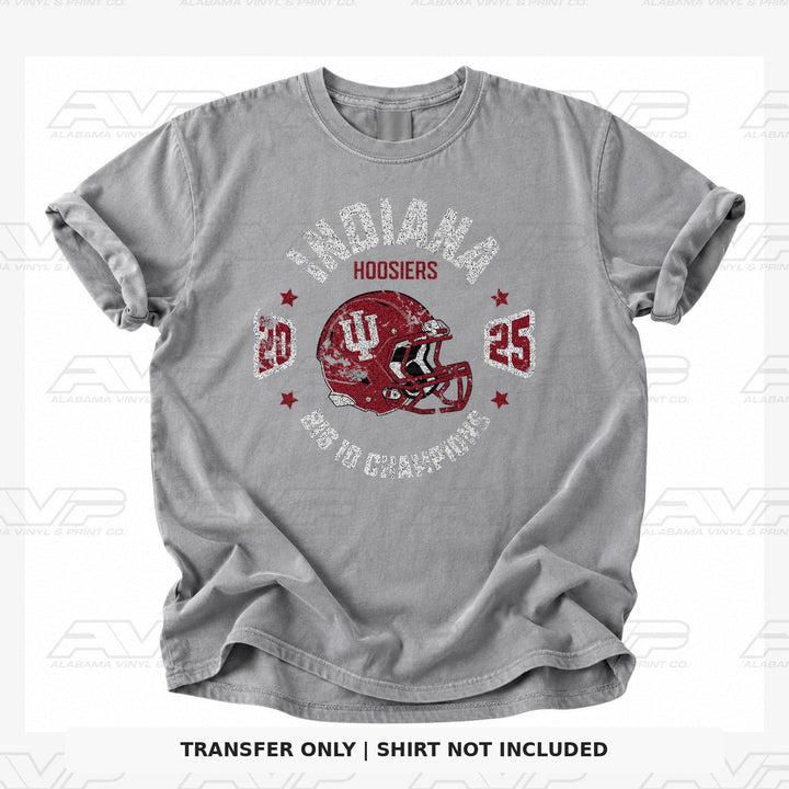 Indiana Hoosiers Big 10 Champs Alabama Vinyl