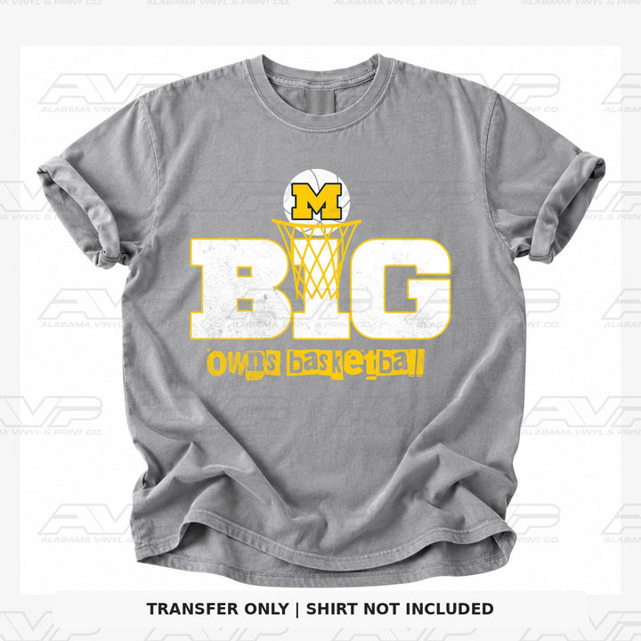 Michigan Big10 Alabama Vinyl