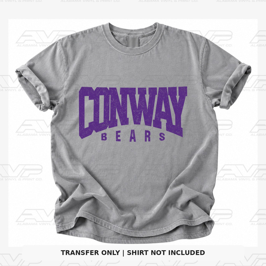 Central Arkansas Conway Bears Alabama Vinyl