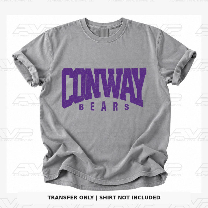 Central Arkansas Conway Bears Alabama Vinyl