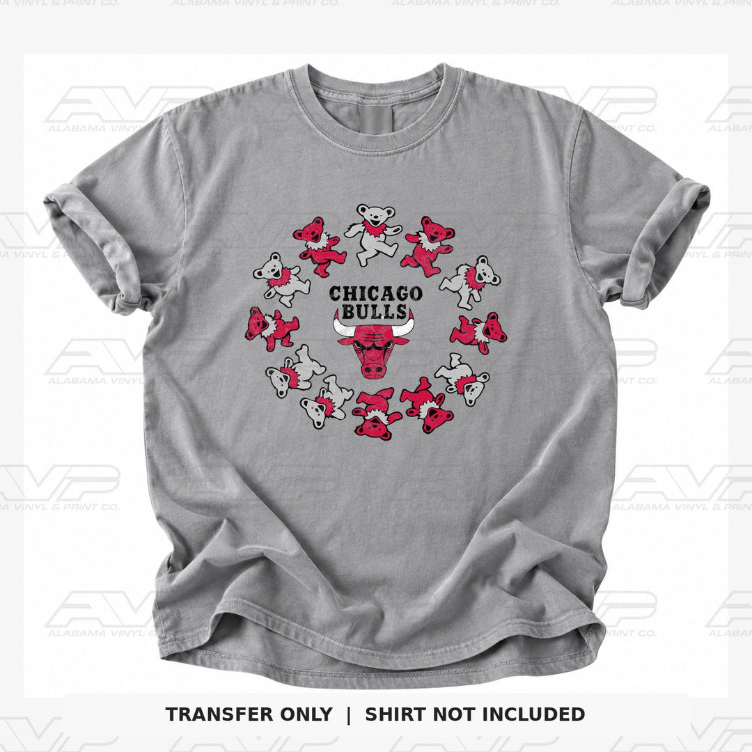 Chicago Bulls Bears Alabama Vinyl