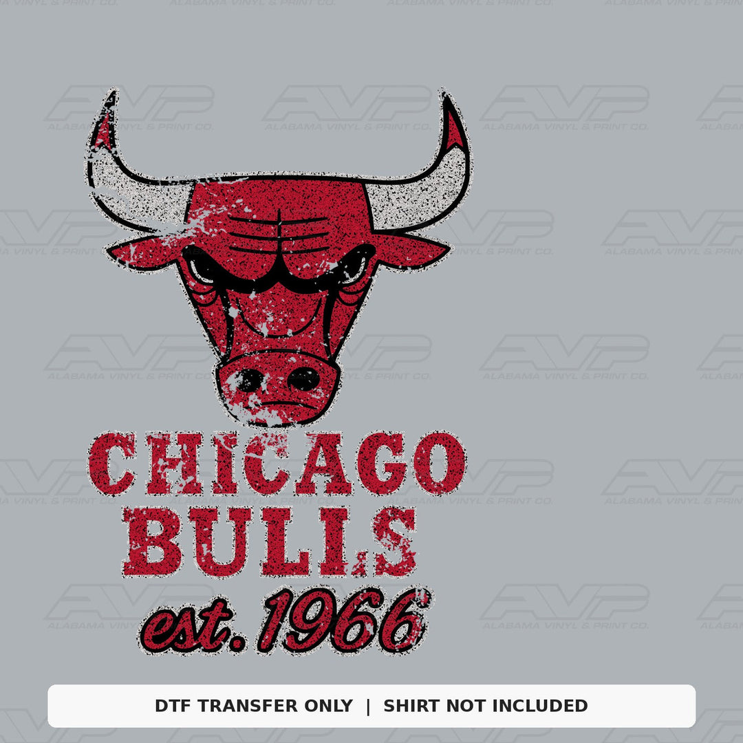 Chicago Bulls 1966 Alabama Vinyl