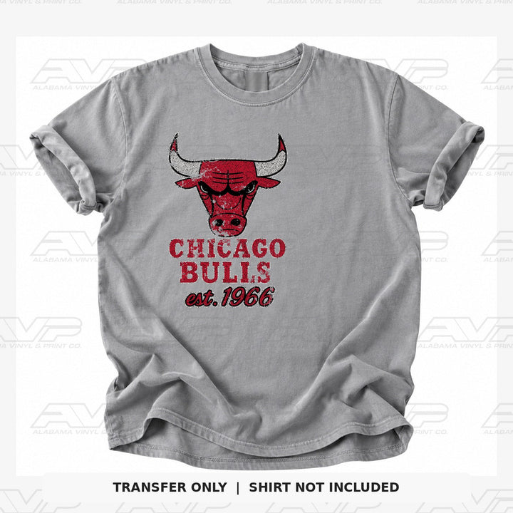 Chicago Bulls 1966 Alabama Vinyl